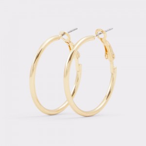Aldo Aceassa Hoop earrings Donna Orecchini Oro | IPVOANZ-32