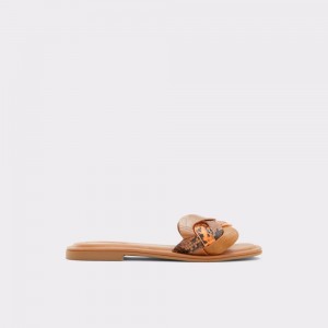 Aldo Adwilaviel Slide sandal Donna Sandali Marroni | VHBXZUN-59