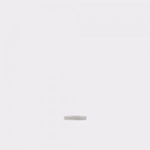 Aldo Antidaphne Ring Donna Anelli Argento | AESHLDF-39
