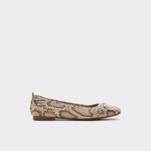 Aldo Ballad Ballerina Donna Ballerine Beige | YWKFGCM-57