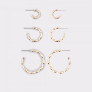 Aldo Brire Hoop earrings Donna Orecchini Oro | FNKWURL-70