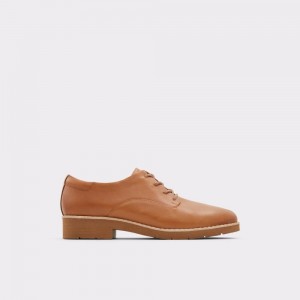 Aldo Cerquedaflex Oxford shoe Donna Ballerine Marroni | QOKTEWD-07