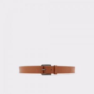 Aldo Erlicheer Belt Uomo Cinture Marroni | XJFNLVE-91