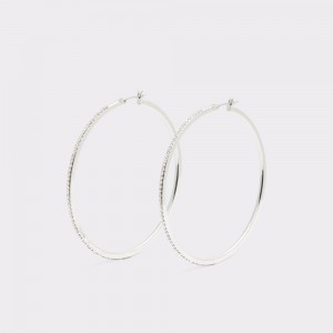 Aldo Eryri Hoop earrings Donna Orecchini Argento | LKITZJX-14