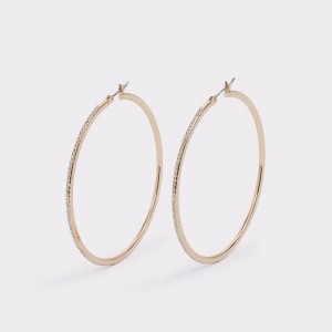 Aldo Eryri Hoop earrings Donna Orecchini Oro | EAOBCZY-46