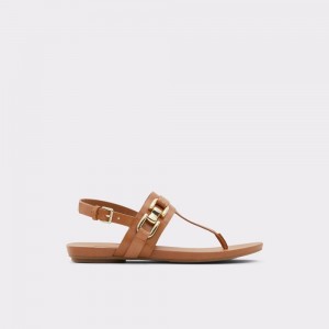 Aldo Gannamaryn T-strap sandal Donna Sandali Marroni | HBZGOIY-39