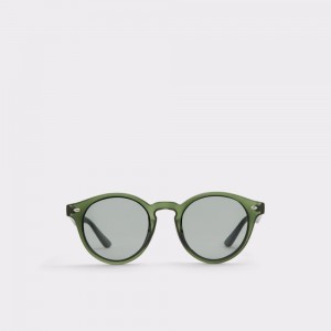 Aldo Graewien Round sunglasses Uomo Occhiali da Sole Khaki | DAGSXIZ-24