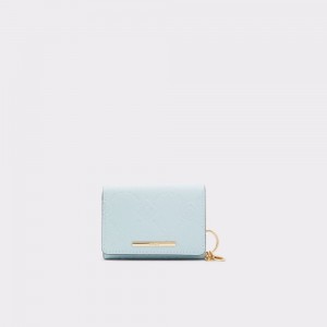 Aldo Iconipouch Wallet Donna Portafogli Blu Chiaro | ZYIOSKM-39