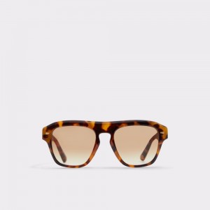 Aldo Milicien Sunglasses Uomo Occhiali da Sole Marroni | CJABEGT-27