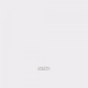 Aldo Radiana Ring Donna Anelli Argento | KAYICNS-49