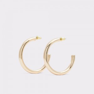 Aldo Talentariel Hoop earrings Donna Orecchini Oro | AQYCSOM-14
