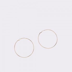 Aldo Thilisien Hoop earrings Donna Gioielli Oro | FCRLKGD-15