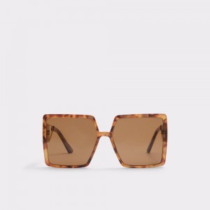 Aldo Ybaledia Square sunglasses Donna Occhiali da Sole Marroni | QBCXRYK-86